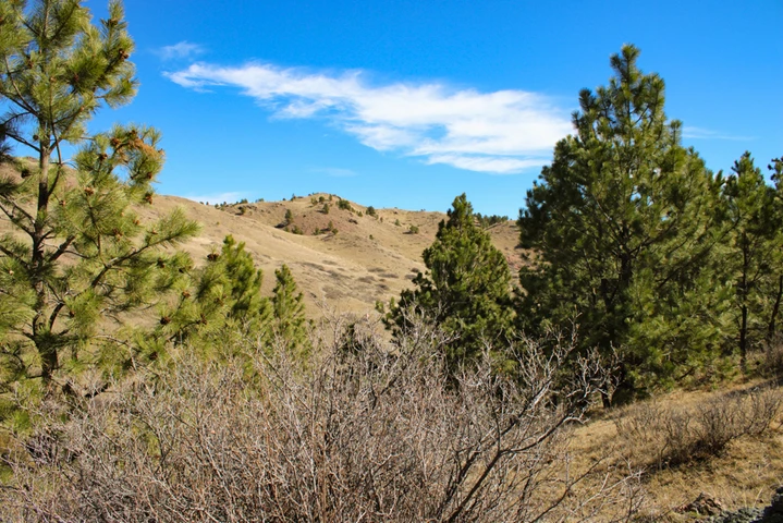 Nearby Listing Image