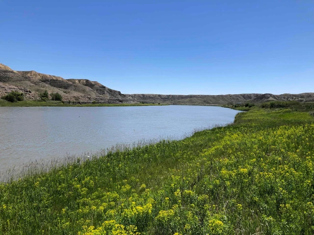 Nearby Listing Image