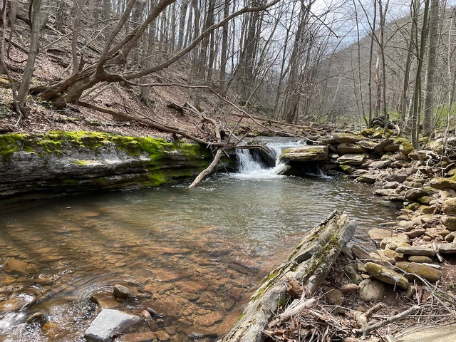 Nearby Listing Image