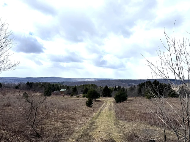 Nearby Listing Image