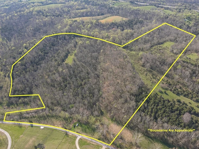 Nearby Listing Image