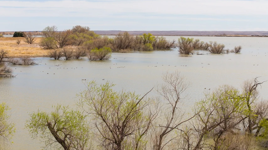 Nearby Listing Image