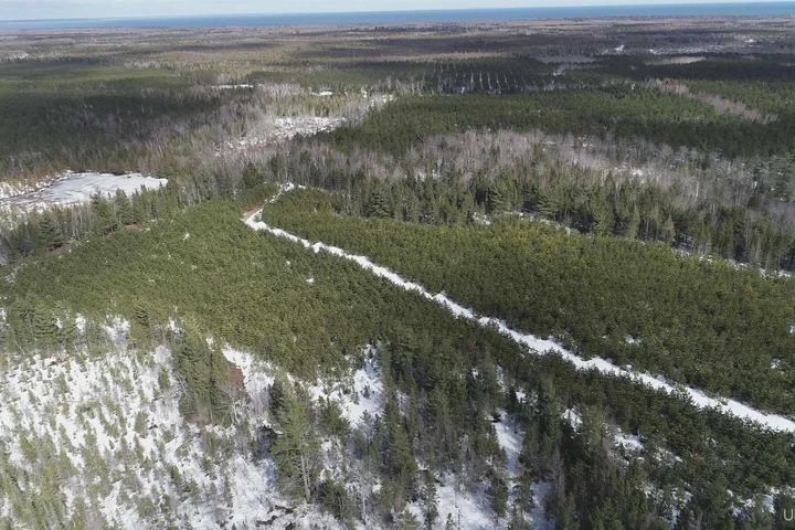 Nearby Listing Image