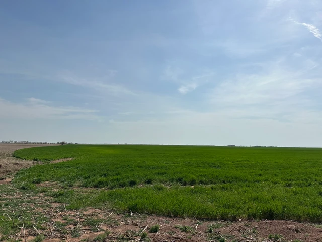 Nearby Listing Image