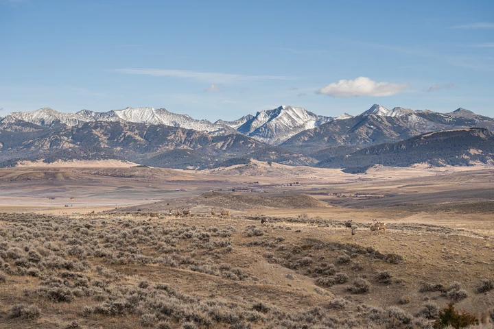 Nearby Listing Image