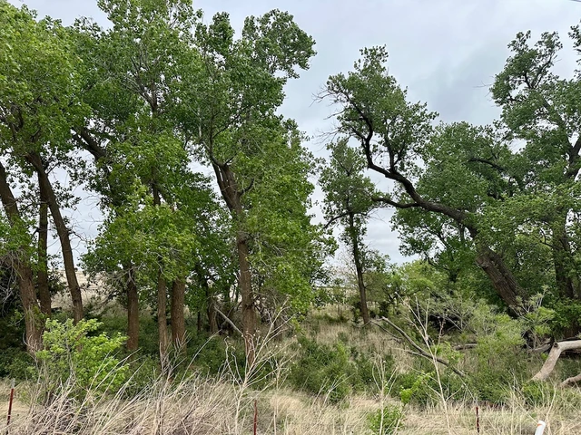 Nearby Listing Image