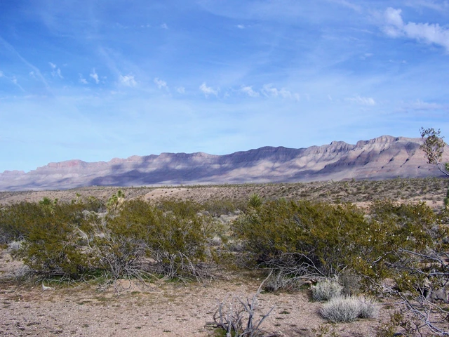 Nearby Listing Image