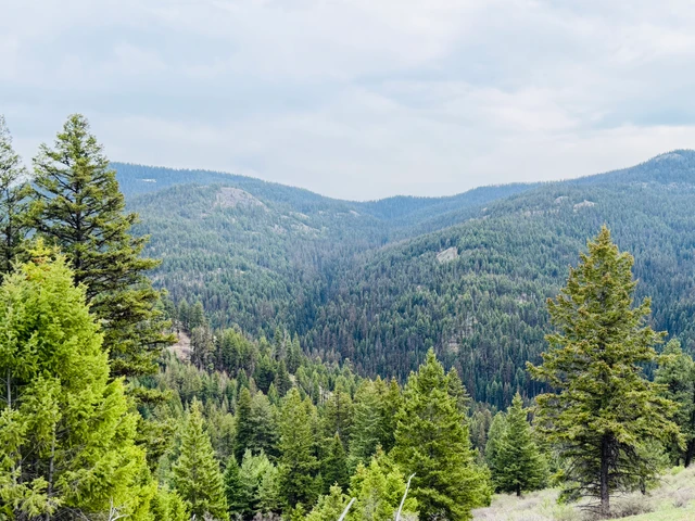 Nearby Listing Image
