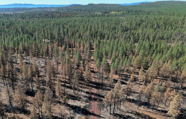 Nearby Listing Image