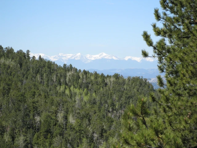 Nearby Listing Image