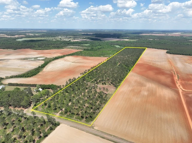 Nearby Listing Image