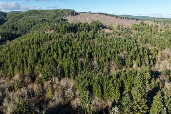 Nearby Listing Image