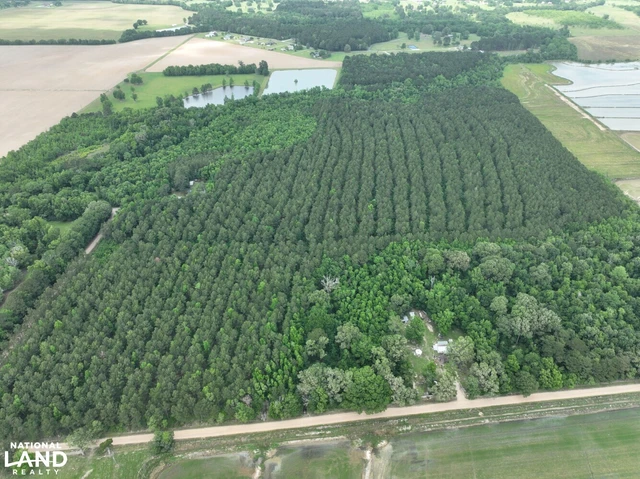 Nearby Listing Image