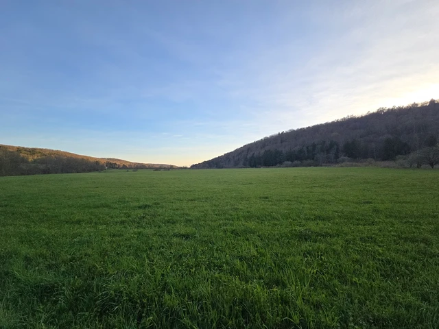 Nearby Listing Image