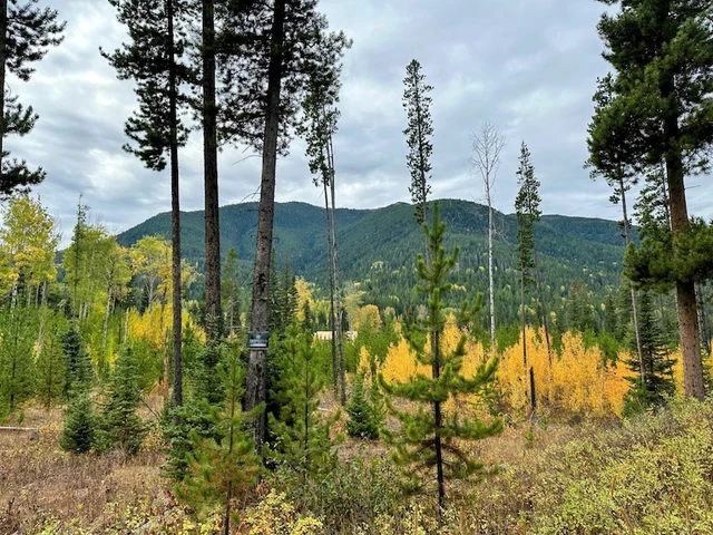 Nearby Listing Image