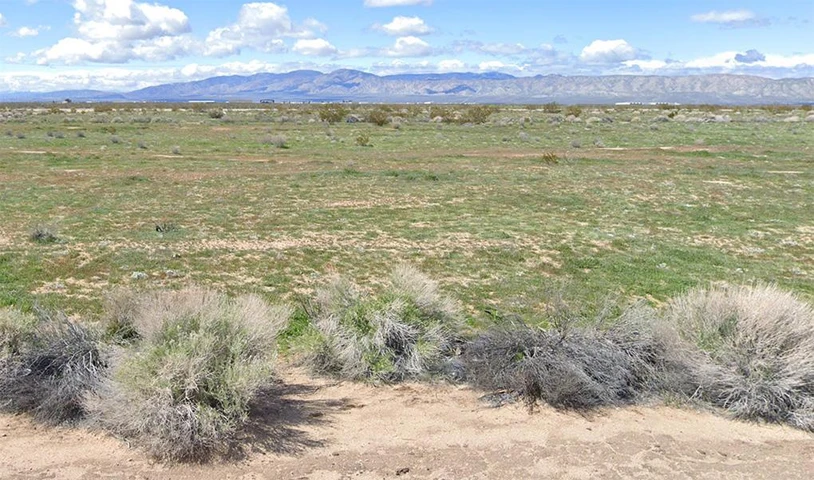 Nearby Listing Image