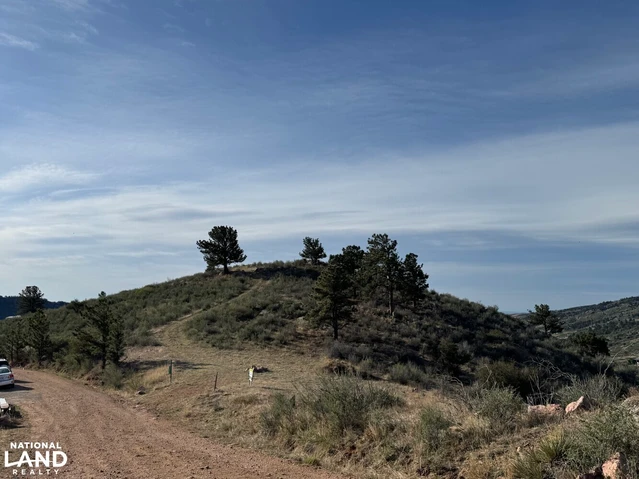 Nearby Listing Image