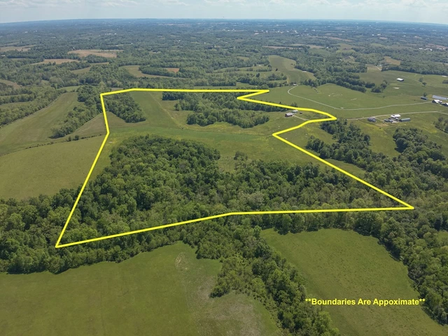 Nearby Listing Image
