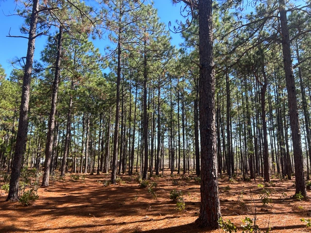 Nearby Listing Image
