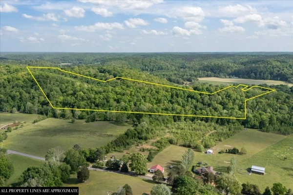 Nearby Listing Image