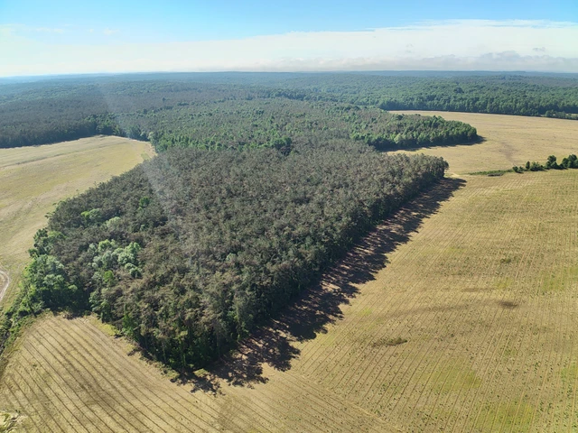 Nearby Listing Image