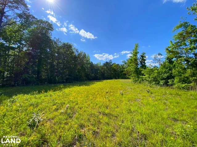 Nearby Listing Image