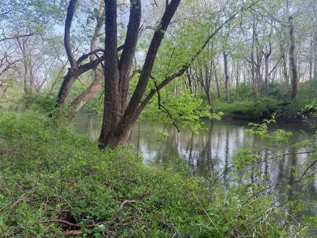 Nearby Listing Image