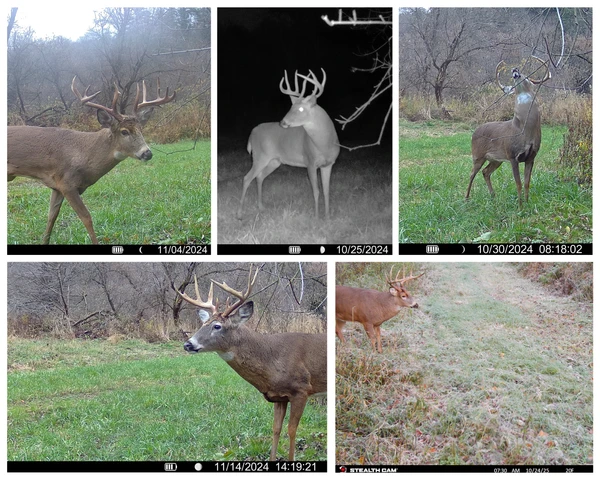 Nearby Listing Image
