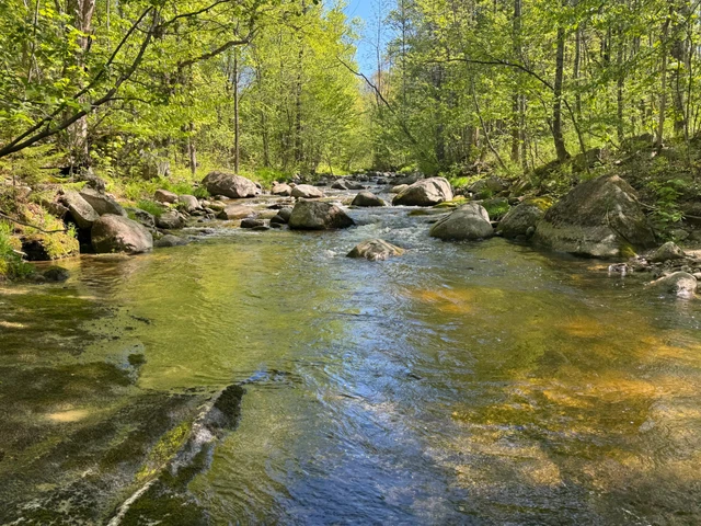 Nearby Listing Image