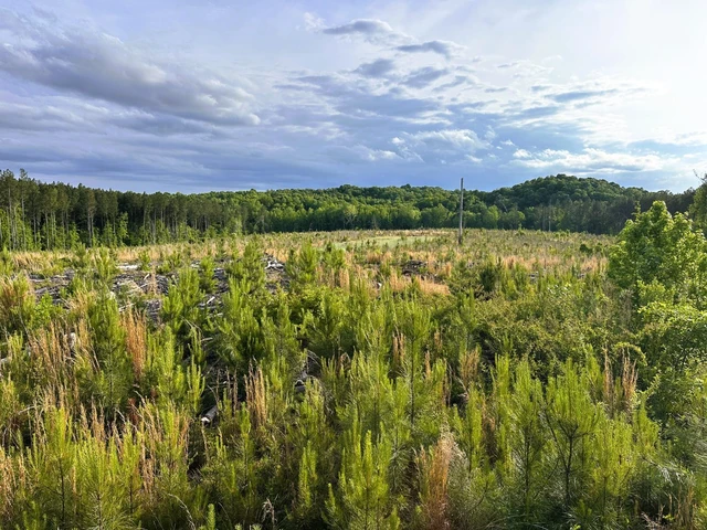 Nearby Listing Image