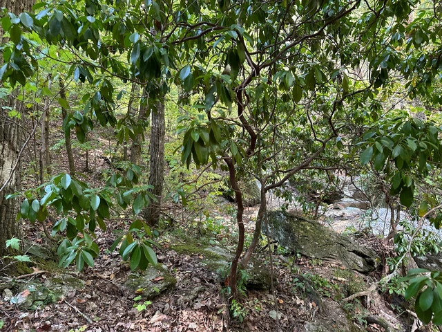 Nearby Listing Image