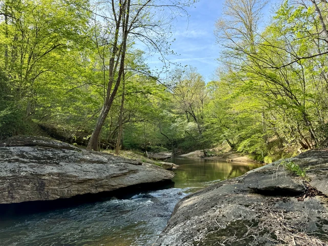 Nearby Listing Image