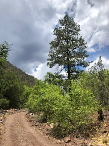 Nearby Listing Image