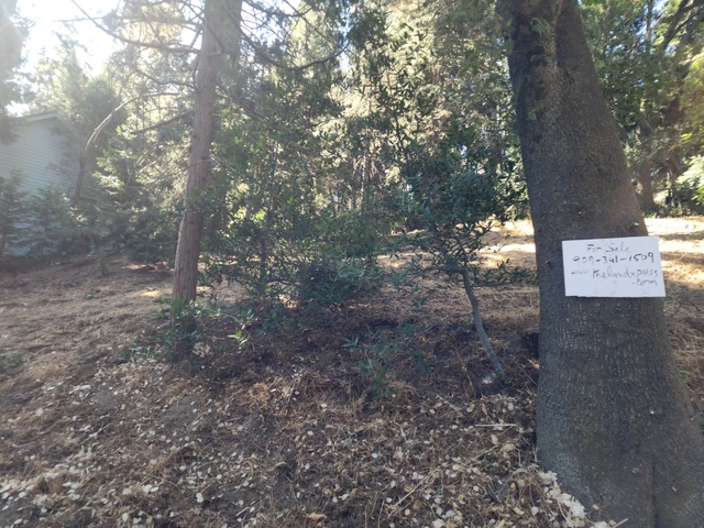 Nearby Listing Image