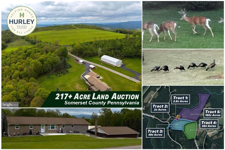 Nearby Listing Image