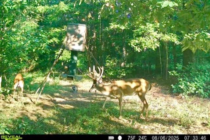 Nearby Listing Image