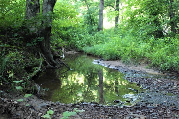 Nearby Listing Image