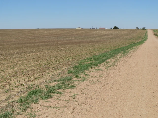 Nearby Listing Image