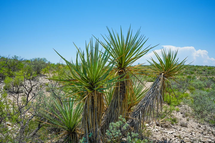 Nearby Listing Image