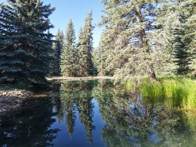 Nearby Listing Image
