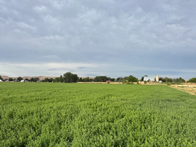 Nearby Listing Image
