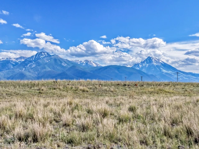 Nearby Listing Image