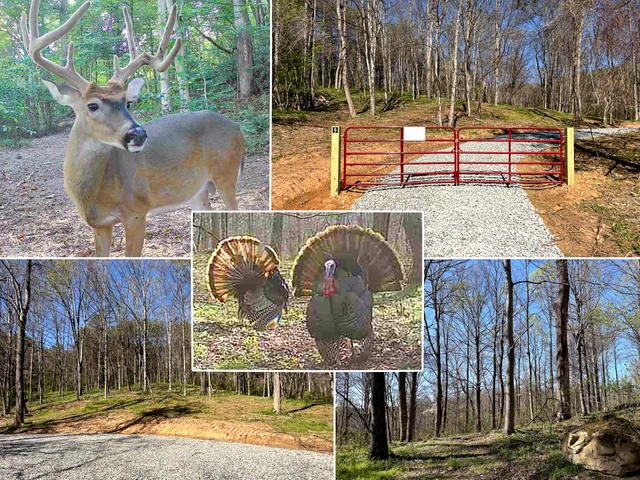 Nearby Listing Image