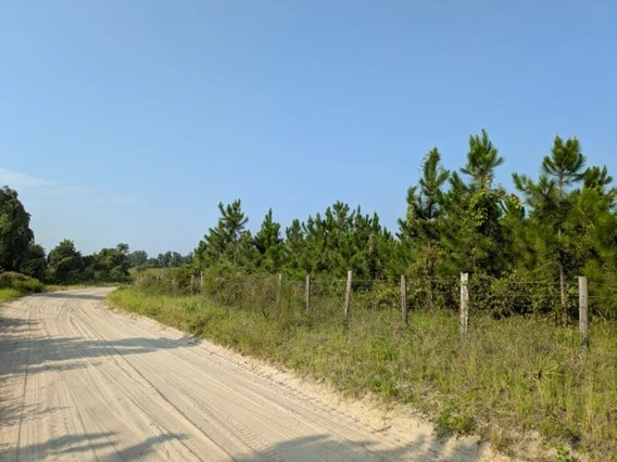 Nearby Listing Image