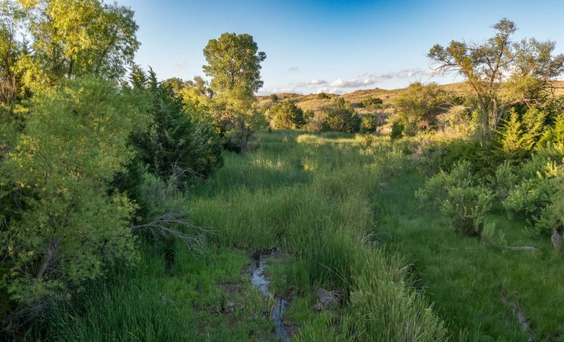 Nearby Listing Image