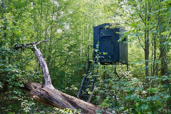 Nearby Listing Image