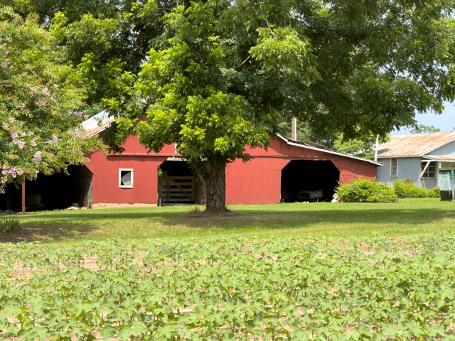 Nearby Listing Image