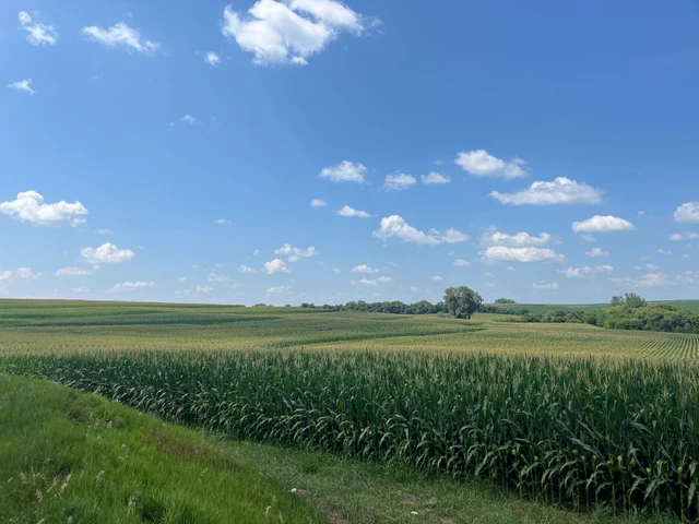 Nearby Listing Image