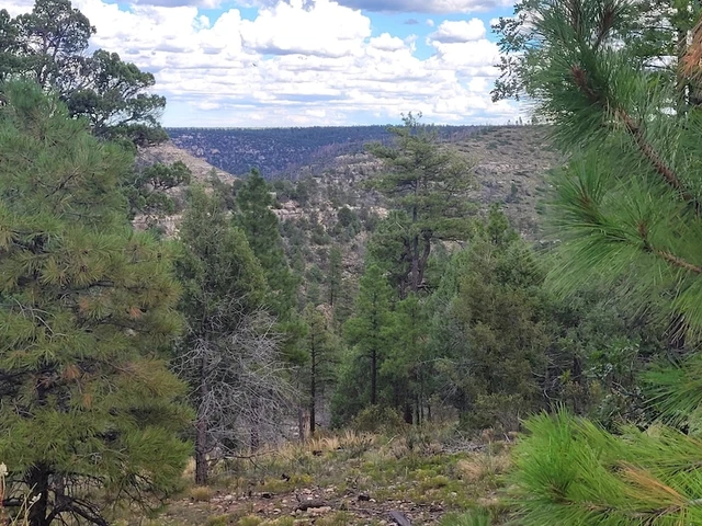 Nearby Listing Image
