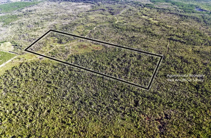 Nearby Listing Image